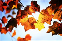 广告传媒公司名字大气聚财