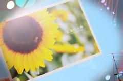 公司二字霸气名字