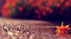 吸引人的娱乐公司名字