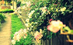 2019三个字的公司名字