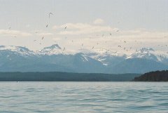 洋气的姓潘男孩名字大全