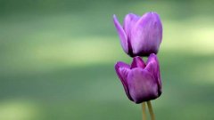 顺口好听的生活服务公司起名