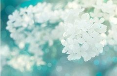 洋气的姓石男孩名字大全