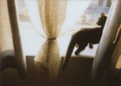 洋气的姓闻男孩名字大全