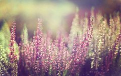 洋气的姓尉迟男孩名字大全