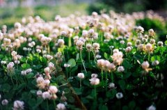 洋气的姓公孙男孩名字大全