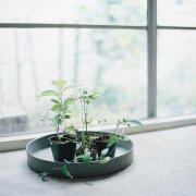 洋气的姓濮阳男孩名字大全