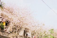 洋气的姓申屠男孩名字大全