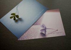 洋气的姓计男孩名字大全