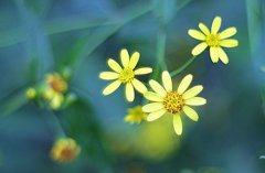 姓陈可爱的男孩名字大全