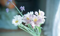 姓万男孩可爱的名字大全