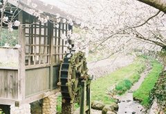 姓雍可爱的男孩名字大全