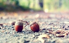 姓居可爱的男孩名字大全