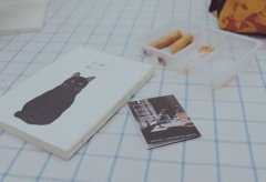 姓申屠可爱的男孩名字大全