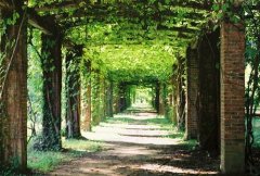 姓须可爱的男孩名字大全