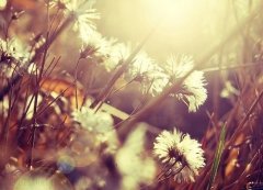 姓逢可爱的男孩名字大全