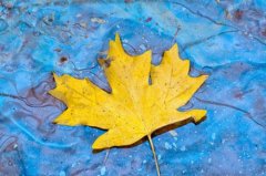 姓苗男孩有寓意的名字大全