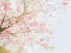 姓齐男孩有寓意的名字大全