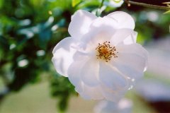 姓盛男孩有寓意的名字大全