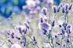 姓房男孩有寓意的名字大全