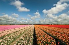 姓万男孩有寓意的名字大全