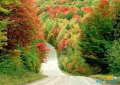 姓宫男孩有寓意的名字大全