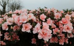 姓台男孩有寓意的名字大全