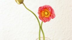 姓利男孩有寓意的名字大全