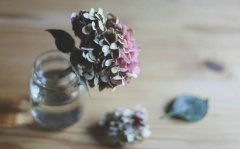 姓闻人男孩有寓意的名字大全