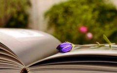 姓上官男孩有寓意的名字大全