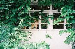 姓司徒男孩有寓意的名字大全