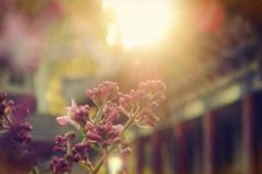 姓南宫男孩有寓意的名字大全