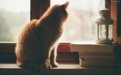 狗年姓廉男孩名字大全 属狗廉姓男宝宝起名2018