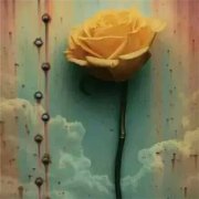 狗年姓项男孩名字大全 属狗项姓男宝宝起名2018