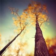 狗年姓郭男孩名字大全 属狗郭姓男宝宝起名2018