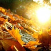 狗年姓林男孩名字大全 属狗林姓男宝宝起名2018