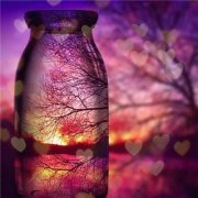 狗年姓诸男孩名字大全 属狗诸姓男宝宝起名2018