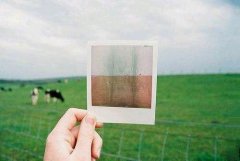 狗年姓车男孩名字大全 属狗车姓男宝宝起名2018