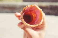 狗年姓蒲男孩名字大全 属狗蒲姓男宝宝起名2018