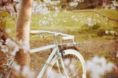 狗年姓劳男孩名字大全 属狗劳姓男宝宝起名2018