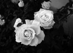 狗年姓宇文男孩名字大全 属狗宇文姓男宝宝起名2018