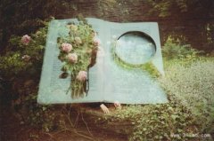 狗年姓长孙男孩名字大全 属狗长孙姓男宝宝起名2018