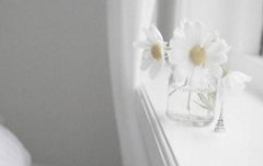 狗年姓澹台男孩名字大全 属狗澹台姓男宝宝起名2018