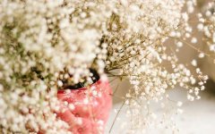 狗年姓轩辕男孩名字大全 属狗轩辕姓男宝宝起名2018