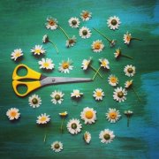 狗年姓欧阳男孩名字大全 属狗欧阳姓男宝宝起名2018