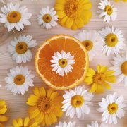 狗年姓乐正男孩名字大全 属狗乐正姓男宝宝起名2018