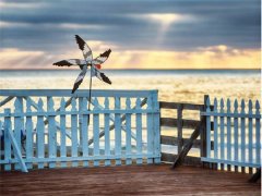 狗年姓闾丘男孩名字大全 属狗闾丘姓男宝宝起名2018