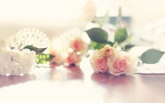 狗年姓商男孩名字大全 属狗商姓男宝宝起名2018