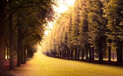 姓张男孩寓意吉祥的名字大全