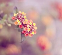 姓潘男孩寓意吉祥的名字大全